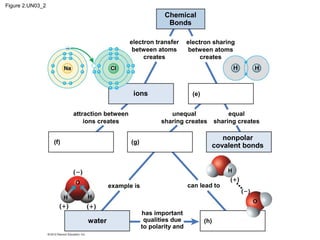 Figure 2.UN03_2
Chemical
Bonds
electron transfer
between atoms
creates
ions
nonpolar
covalent bonds
water
has important
qualities due
to polarity and
(h)
(f) (g)
(e)
example is can lead to
attraction between
ions creates
unequal
sharing creates
equal
sharing creates
electron sharing
between atoms
creates
 