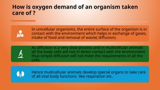 How is oxygen demand of an organism taken
care of ?
In unicellular organisms, the entire surface of the organism is in
contact with the environment which helps in exchange of gases,
intake of food and removal of waste( diffusion).
As diffusion is a very slow process and in multicellular animals
all the body cells are not in direct contact with the environment
thus simple diffusion will not meet the requirements of all the
cells.
Hence multicellular animals develop special organs to take care
of all vital body functions like respiration etc.
 