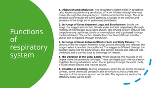 Functions
of
respiratory
system
1. Inhalation and Exhalation- The respiratory system helps in breathing
(also known as pulmonary ventilation.) The air inhaled through the nose
moves through the pharynx, larynx, trachea and into the lungs. The air is
exhaled back through the same pathway. Changes in the volume and
pressure in the lungs aid in pulmonary ventilation.
2. Exchange of Gases between Lungs and Bloodstream- Inside the
lungs, the oxygen and carbon dioxide enter and exit respectively through
millions of microscopic sacs called alveoli. The inhaled oxygen diffuses into
the pulmonary capillaries, binds to haemoglobin and is pumped through
the bloodstream. The carbon dioxide from the blood diffuses into the
alveoli and is expelled through exhalation.
3. Exchange of Gases between Bloodstream and Body Tissues- The
blood carries the oxygen from the lungs around the body and releases the
oxygen when it reaches the capillaries. The oxygen is diffused through the
capillary walls into the body tissues. The carbon dioxide also diffuses into
the blood and is carried back to the lungs for release.
4. The Vibration of the Vocal Cords- While speaking, the muscles in the
larynx move the arytenoid cartilage. These cartilages push the vocal cords
together. During exhalation, when the air passes through the vocal cords,
it makes them vibrate and creates sound.
5. Olfaction or Smelling- During inhalation, when the air enters the nasal
cavities, some chemicals present in the air bind to it and activate the
receptors of the nervous system on the cilia. The signals are sent to the
olfactory bulbs via the brain.
 