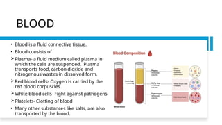 BLOOD
• Blood is a fluid connective tissue.
• Blood consists of
Plasma- a fluid medium called plasma in
which the cells are suspended. Plasma
transports food, carbon dioxide and
nitrogenous wastes in dissolved form.
Red blood cells- Oxygen is carried by the
red blood corpuscles.
White blood cells- Fight against pathogens
Platelets- Clotting of blood
• Many other substances like salts, are also
transported by the blood.
 