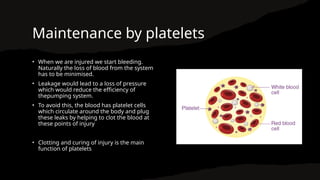 Maintenance by platelets
• When we are injured we start bleeding.
Naturally the loss of blood from the system
has to be minimised.
• Leakage would lead to a loss of pressure
which would reduce the efficiency of
thepumping system.
• To avoid this, the blood has platelet cells
which circulate around the body and plug
these leaks by helping to clot the blood at
these points of injury
• Clotting and curing of injury is the main
function of platelets
 