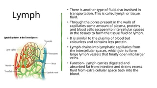 Lymph
• There is another type of fluid also involved in
transportation. This is called lymph or tissue
fluid.
• Through the pores present in the walls of
capillaries some amount of plasma, proteins
and blood cells escape into intercellular spaces
in the tissues to form the tissue fluid or lymph.
• It is similar to the plasma of blood but
colourless and contains less protein.
• Lymph drains into lymphatic capillaries from
the intercellular spaces, which join to form
large lymph vessels that finally open into larger
veins.
• Function- Lymph carries digested and
absorbed fat from intestine and drains excess
fluid from extra cellular space back into the
blood.
 