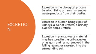 EXCRETIO
N
Excretion is the biological process
by which living organisms remove
waste products from their bodies.
Excretion in human beings: pair of
kidneys, a pair of ureters, a urinary
bladder and a urethra
Excretion in plants: waste material
may be stored in the cell-vacuoles
or as gum and resin, removed in the
falling leaves, or excreted into the
surrounding soil.
 
