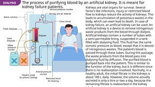 The process of purifying blood by an artificial kidney. It is meant for
kidney failure patients. Kidneys are vital organs for survival. Several
factors like infections, injury or restricted blood
flow to kidneys reduce the activity of kidneys. This
leads to accumulation of poisonous wastes in the
body, which can even lead to death. In case of
kidney failure, an artificial kidney can be used. An
artificial kidney is a device to remove nitrogenous
waste products from the blood through dialysis.
Artificial kidneys contain a number of tubes with
a semi-permeable lining, suspended in a tank
filled with dialysing fluid. This fluid has the same
osmotic pressure as blood, except that it is devoid
of nitrogenous wastes. The patient’s blood is
passed through these tubes. During this passage,
the waste products from the blood pass into
dialysing fluid by diffusion. The purified blood is
pumped back into the patient. This is similar to
the function of the kidney, but it is different since
there is no reabsorption involved. Normally, in a
healthy adult, the initial filtrate in the kidneys is
about 180 L daily. However, the volume actually
excreted is only a litre or two a day, because the
remaining filtrate is reabsorbed in the kidney
 