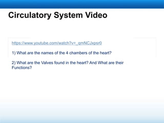 Circulatory System Video
https://www.youtube.com/watch?v=_qmNCJxpsr0
1) What are the names of the 4 chambers of the heart?
2) What are the Valves found in the heart? And What are their
Functions?
 