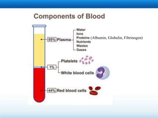 (Albumin, Globulin, Fibrinogen)
 