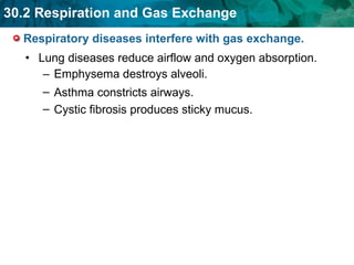 Respiratory diseases interfere with gas exchange. Lung diseases reduce airflow and oxygen absorption. Emphysema destroys alveoli. Asthma constricts airways. Cystic fibrosis produces sticky mucus.  