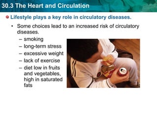 Lifestyle plays a key role in circulatory diseases.  Some choices lead to an increased risk of circulatory diseases. smoking long-term stress excessive weight lack of exercise  diet low in fruits and vegetables, high in saturated fats  