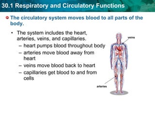 The circulatory system moves blood to all parts of the body.  The system includes the heart, arteries, veins, and capillaries.  heart pumps blood throughout body  arteries move blood away from heart  veins move blood back to heart capillaries get blood to and from cells veins arteries 