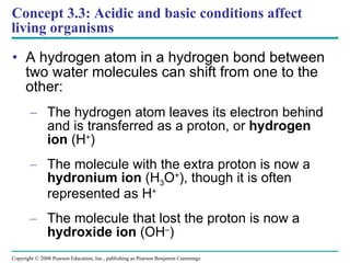 Concept 3.3: Acidic and basic conditions affect living organisms A hydrogen atom in a hydrogen bond between two water molecules can shift from one to the other: The hydrogen atom leaves its electron behind and is transferred as a proton, or  hydrogen ion  (H + ) The molecule with the extra proton is now a  hydronium ion  (H 3 O + ), though it is often represented as H + The molecule that lost the proton is now a  hydroxide ion  (OH – ) Copyright © 2008 Pearson Education, Inc., publishing as Pearson Benjamin Cummings 