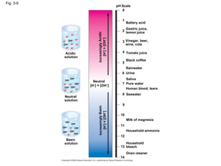 Fig. 3-9 Neutral solution Acidic solution Basic solution OH – OH – OH – OH – OH – OH – OH – H + H + H + OH – H + H + H + H + OH – OH – OH – OH – H + OH – H + H + H + H + H + H + H + OH – Neutral [H + ]  =  [OH – ] Increasingly Acidic [H + ]  >  [OH – ]  Increasingly Basic [H + ]  <  [OH – ]  pH Scale 0 1 2 3 4 5 6 7 8 Battery acid Gastric juice, lemon juice Vinegar, beer, wine, cola Tomato juice Black coffee Rainwater Urine Saliva Pure water Human blood, tears Seawater 9 10 Milk of magnesia Household ammonia Household bleach Oven cleaner 11 12 13 14 