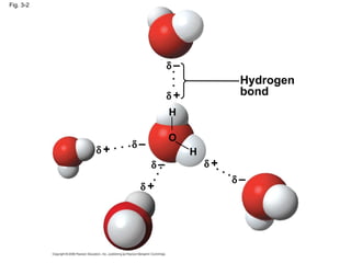 Fig. 3-2 Hydrogen bond    – H    + H O — — — —    +    +    +    –    –    – 