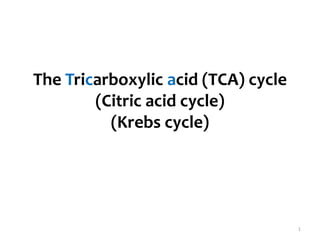 The Tricarboxylic acid (TCA) cycle
(Citric acid cycle)
(Krebs cycle)
1
 