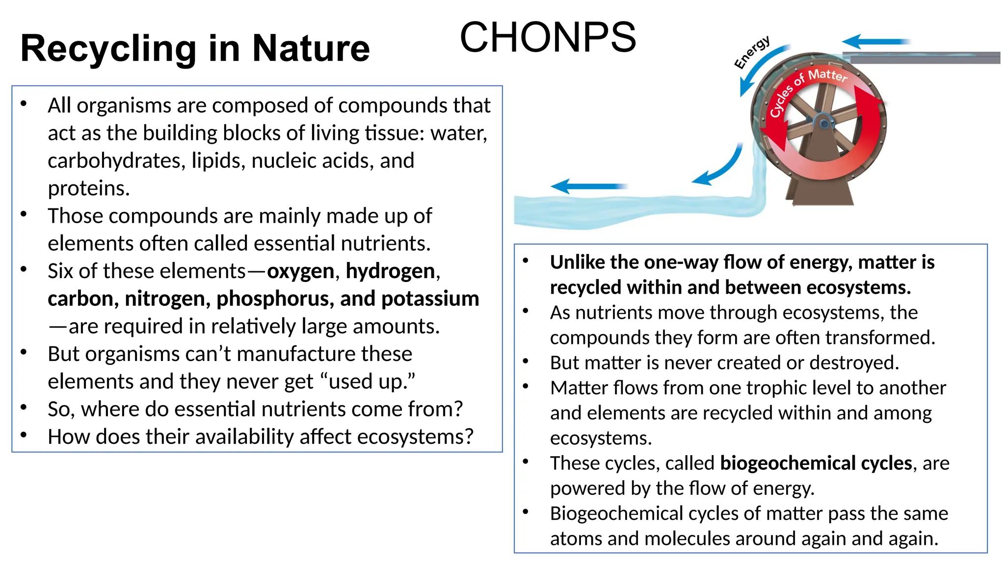 Bio+ch+4+Ecosystems.pptxDFGDFGDFGDFGDF F GDFGDF FGDFGDF | PPT