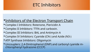 Electron transport chain AND its complexes .pptx