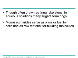 Though often drawn as linear skeletons, in aqueous solutions many sugars form rings Monosaccharides serve as a major fuel for cells and as raw material for building molecules  Copyright © 2008 Pearson Education, Inc., publishing as Pearson Benjamin Cummings 