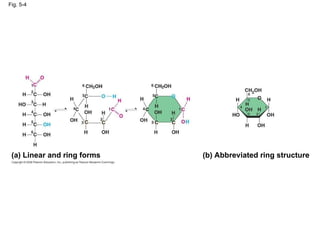 Fig. 5-4 (a) Linear and ring forms (b) Abbreviated ring structure 