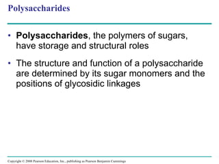 Polysaccharides Polysaccharides , the polymers of sugars, have storage and structural roles The structure and function of a polysaccharide are determined by its sugar monomers and the positions of glycosidic linkages Copyright © 2008 Pearson Education, Inc., publishing as Pearson Benjamin Cummings 