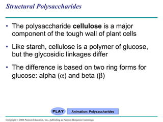Structural Polysaccharides The polysaccharide  cellulose  is a major component of the tough wall of plant cells Like starch, cellulose is a polymer of glucose, but the glycosidic linkages differ The difference is based on two ring forms for glucose: alpha (  ) and beta (  )  Animation: Polysaccharides Copyright © 2008 Pearson Education, Inc., publishing as Pearson Benjamin Cummings 