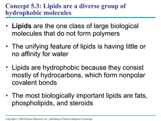 Concept 5.3: Lipids are a diverse group of hydrophobic molecules Lipids  are the one class of large biological molecules that do not form polymers The unifying feature of lipids is having little or no affinity for water Lipids are hydrophobic because  they consist mostly of hydrocarbons, which form nonpolar covalent bonds The most biologically important lipids are fats, phospholipids, and steroids Copyright © 2008 Pearson Education, Inc., publishing as Pearson Benjamin Cummings 