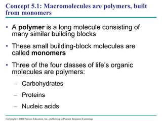 Concept 5.1: Macromolecules are polymers, built from monomers A  polymer  is a long molecule consisting of many similar building blocks  These small building-block molecules are called  monomers Three of the four classes of life’s organic molecules are polymers: Carbohydrates Proteins Nucleic acids Copyright © 2008 Pearson Education, Inc., publishing as Pearson Benjamin Cummings 