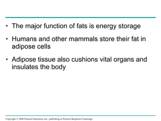 The major function of fats is energy storage Humans and other mammals store their fat in adipose cells Adipose tissue also cushions vital organs and insulates the body Copyright © 2008 Pearson Education, Inc., publishing as Pearson Benjamin Cummings 