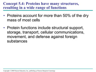 Concept 5.4: Proteins have many structures, resulting in a wide range of functions Proteins account for more than 50% of the dry mass of most cells Protein functions include structural support, storage, transport, cellular communications, movement, and defense against foreign substances Copyright © 2008 Pearson Education, Inc., publishing as Pearson Benjamin Cummings 