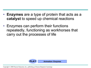 Enzymes  are a type of protein that acts as a  catalyst  to speed up chemical reactions Enzymes can perform their functions repeatedly, functioning as workhorses that carry out the processes of life Animation: Enzymes Copyright © 2008 Pearson Education, Inc., publishing as Pearson Benjamin Cummings 
