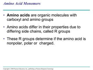 Amino Acid Monomers Amino acids  are organic molecules with carboxyl and amino groups Amino acids differ in their properties due to differing side chains, called R groups These R groups determine if the amino acid is nonpolar, polar or  charged. Copyright © 2008 Pearson Education, Inc., publishing as Pearson Benjamin Cummings 