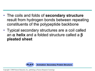 The coils and folds of  secondary structure  result from hydrogen bonds between repeating constituents of the polypeptide backbone Typical secondary structures are a coil called an    helix  and a folded structure called a    pleated sheet Animation: Secondary Protein Structure Copyright © 2008 Pearson Education, Inc., publishing as Pearson Benjamin Cummings 