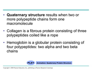 Quaternary structure  results when two or more polypeptide chains form one macromolecule Collagen is a fibrous protein consisting of three polypeptides coiled like a rope Hemoglobin is a globular protein consisting of four polypeptides: two alpha and two beta chains Animation: Quaternary Protein Structure Copyright © 2008 Pearson Education, Inc., publishing as Pearson Benjamin Cummings 