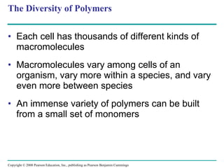 The Diversity of Polymers Each cell has thousands of different kinds of macromolecules  Macromolecules vary among cells of an organism, vary more within a species, and vary even more between species An immense variety of polymers can be built from a small set of monomers 2 3 HO H Copyright © 2008 Pearson Education, Inc., publishing as Pearson Benjamin Cummings 
