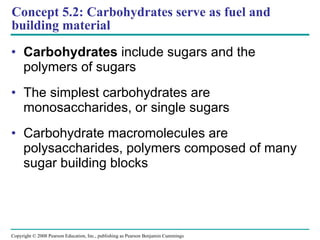 Concept 5.2: Carbohydrates serve as fuel and building material Carbohydrates  include sugars and the polymers of sugars The simplest carbohydrates are monosaccharides, or single sugars Carbohydrate macromolecules are polysaccharides, polymers composed of many sugar building blocks  Copyright © 2008 Pearson Education, Inc., publishing as Pearson Benjamin Cummings 