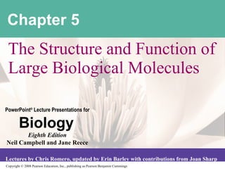 Chapter 5 The Structure and Function of Large Biological Molecules 