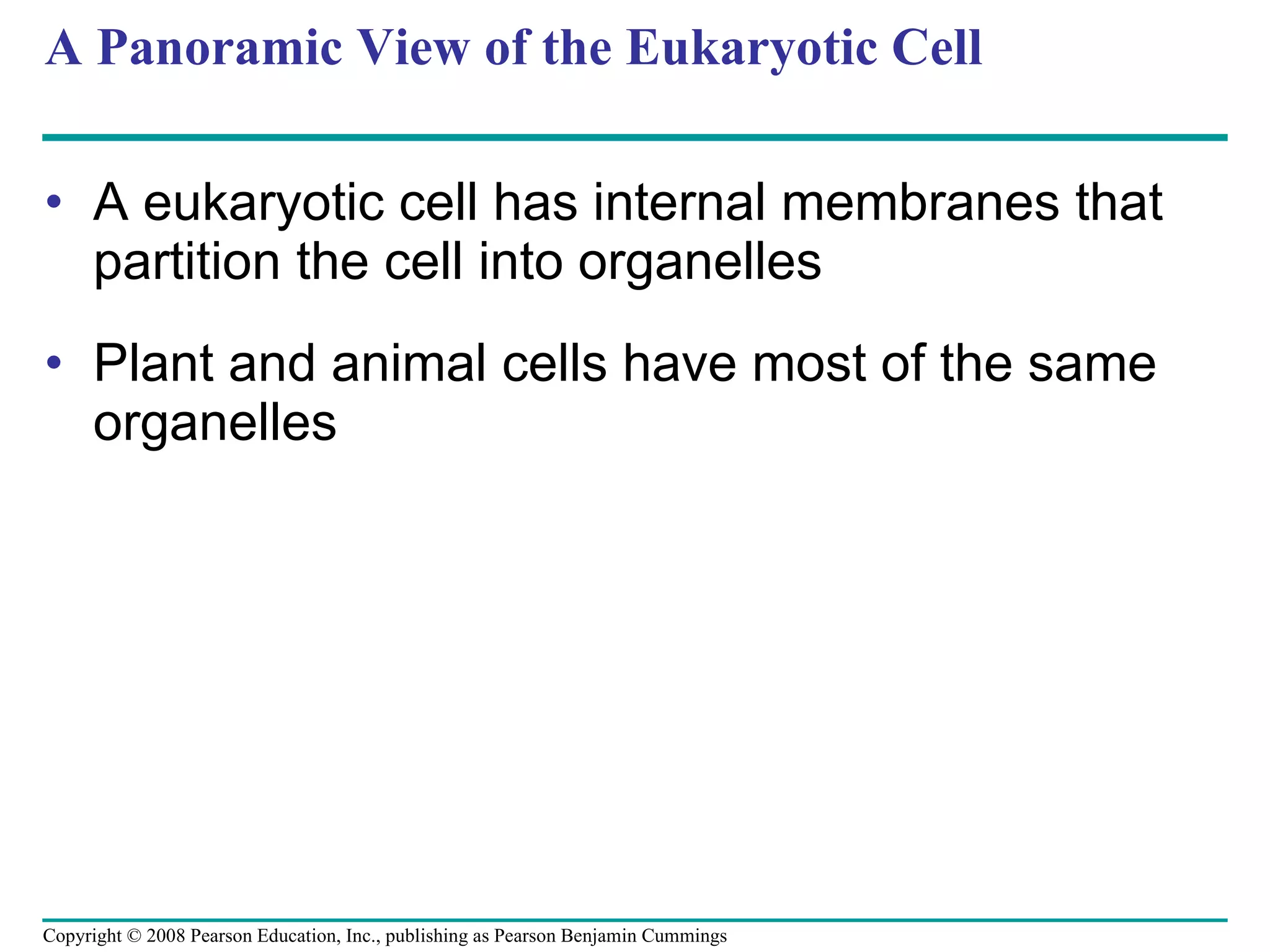 A Panoramic View of the Eukaryotic Cell A eukaryotic cell has internal membranes that partition the cell into organelles Plant and animal cells have most of the same organelles Copyright © 2008 Pearson Education, Inc., publishing as Pearson Benjamin Cummings 