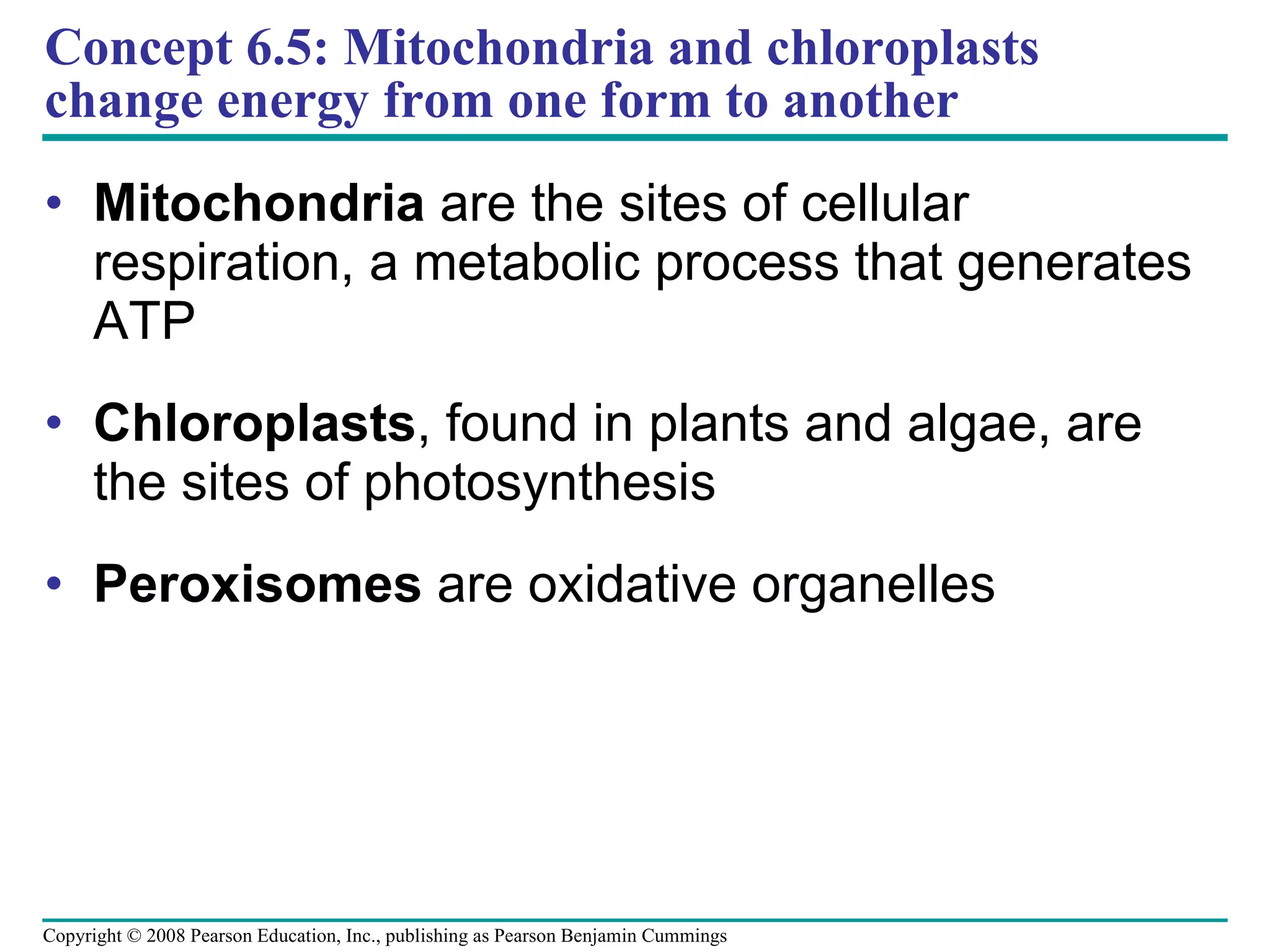 Concept 6.5: Mitochondria and chloroplasts change energy from one form to another Mitochondria  are the sites of cellular respiration, a metabolic process that generates ATP Chloroplasts , found in plants and algae, are the sites of photosynthesis Peroxisomes  are oxidative organelles Copyright © 2008 Pearson Education, Inc., publishing as Pearson Benjamin Cummings 