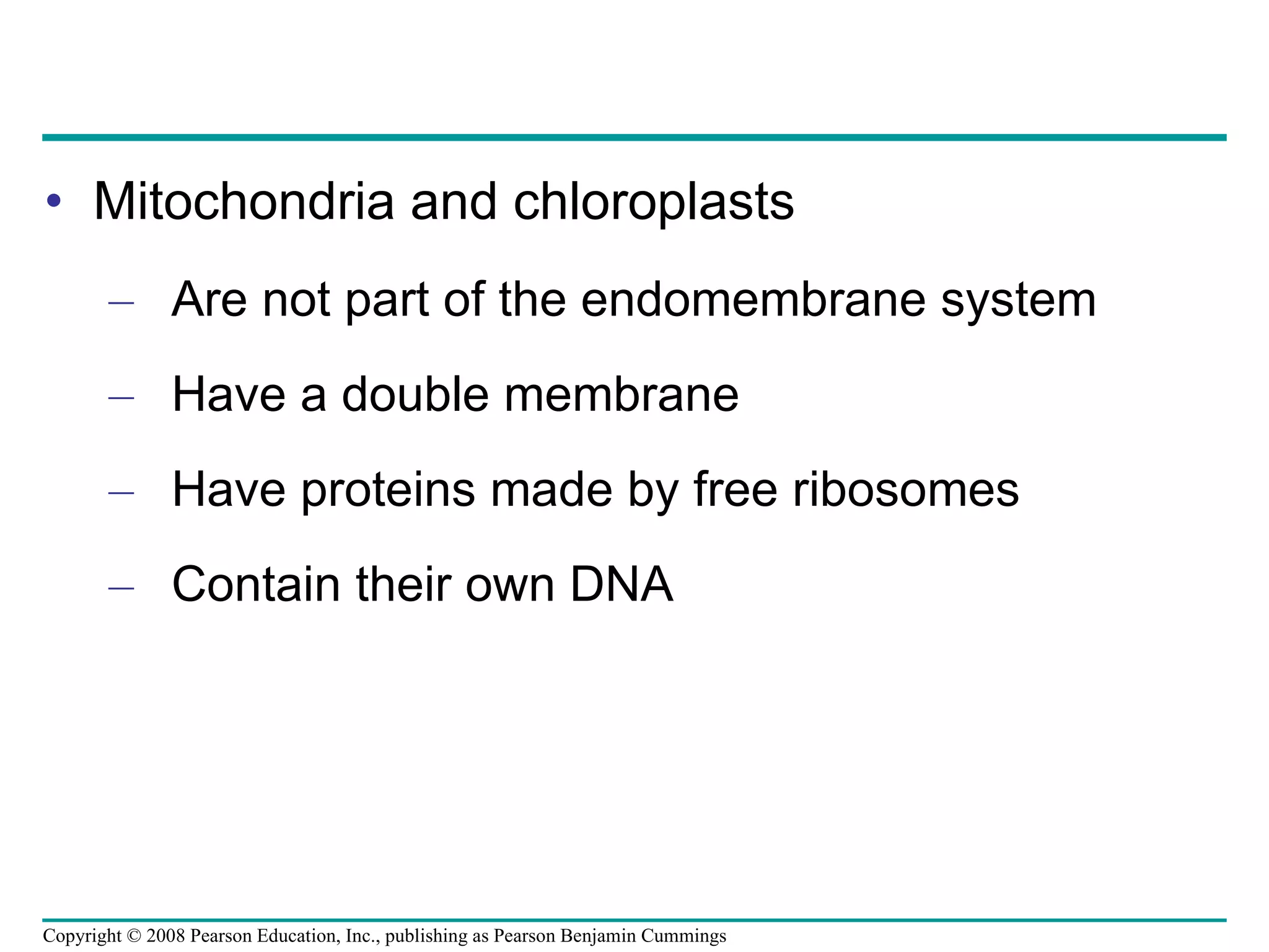 Mitochondria and chloroplasts  Are not part of the endomembrane system Have a double membrane Have proteins made by free ribosomes Contain their own DNA Copyright © 2008 Pearson Education, Inc., publishing as Pearson Benjamin Cummings 