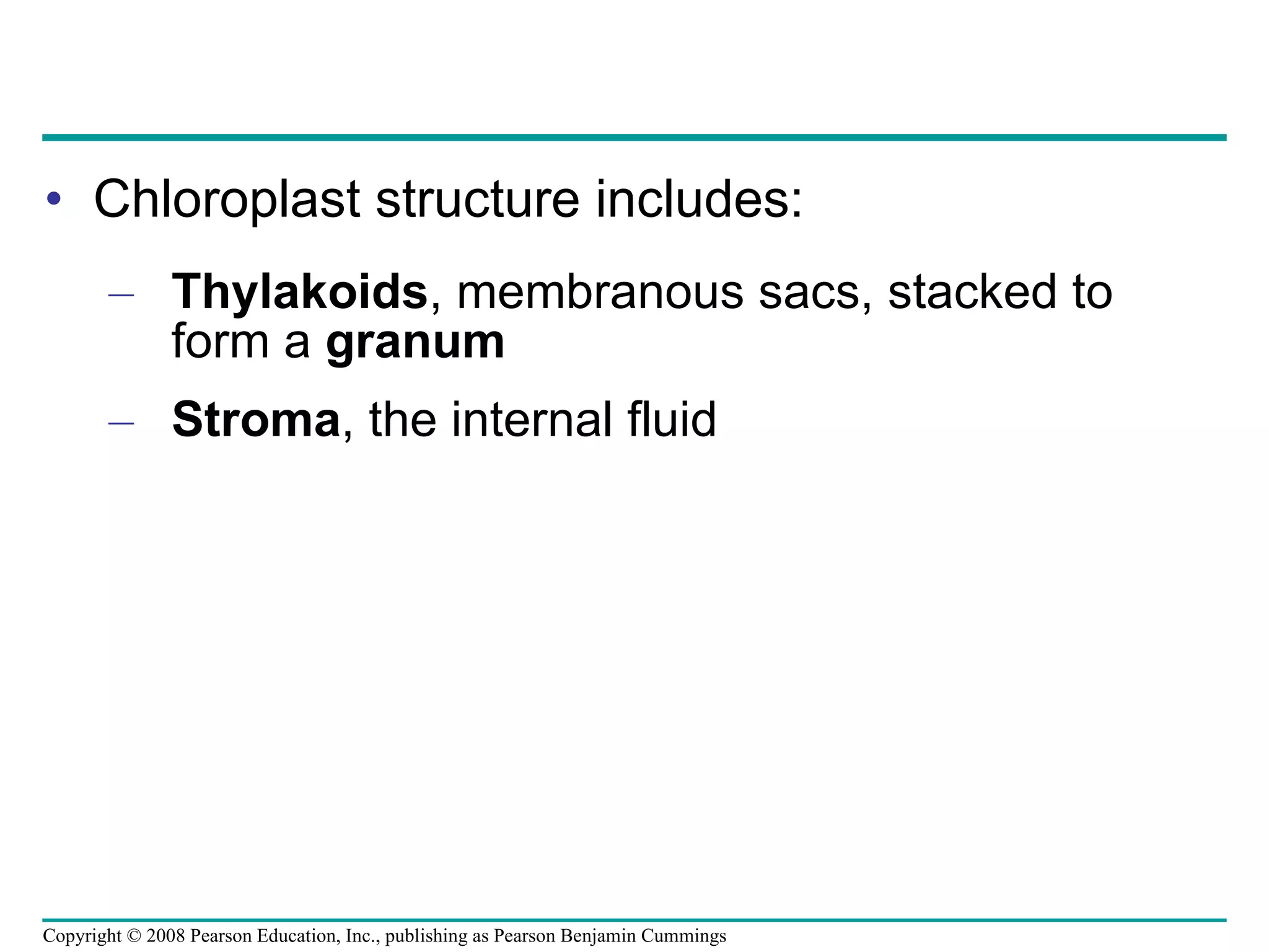Chloroplast structure includes: Thylakoids , membranous sacs, stacked to form a  granum Stroma , the internal fluid Copyright © 2008 Pearson Education, Inc., publishing as Pearson Benjamin Cummings 