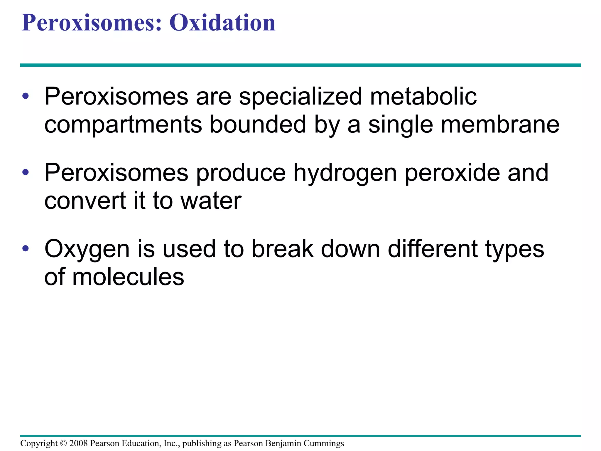Peroxisomes: Oxidation Peroxisomes are specialized metabolic compartments bounded by a single membrane Peroxisomes produce hydrogen peroxide and convert it to water Oxygen is used to break down different types of molecules Copyright © 2008 Pearson Education, Inc., publishing as Pearson Benjamin Cummings 