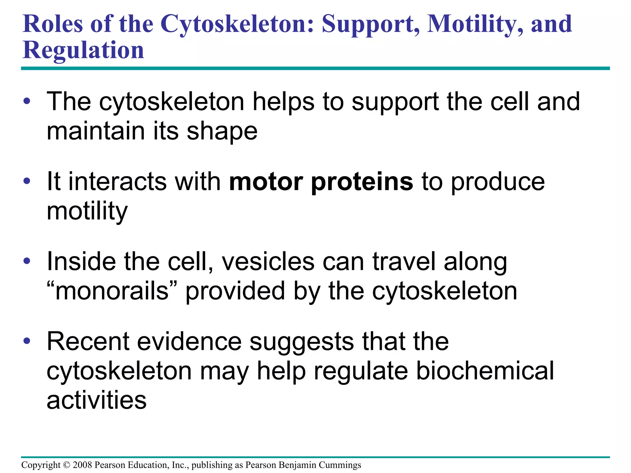 Roles of the Cytoskeleton: Support, Motility, and Regulation The cytoskeleton helps to support the cell and maintain its shape It interacts with  motor proteins  to produce motility Inside the cell, vesicles can travel along “monorails” provided by the cytoskeleton Recent evidence suggests that the cytoskeleton may help regulate biochemical activities Copyright © 2008 Pearson Education, Inc., publishing as Pearson Benjamin Cummings 