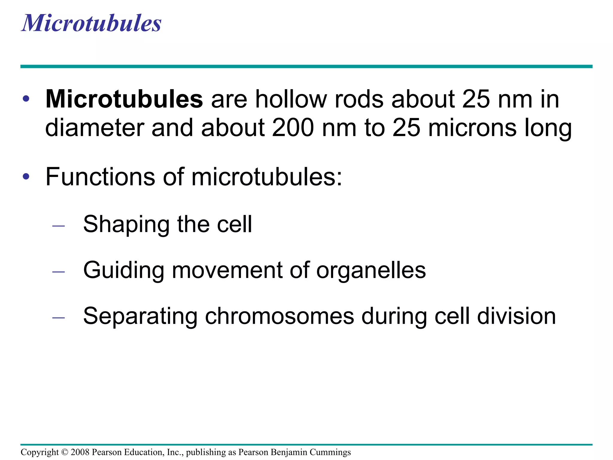 Microtubules Microtubules  are hollow rods about 25 nm in diameter and about 200 nm to 25 microns long Functions of microtubules: Shaping the cell Guiding movement of organelles Separating chromosomes during cell division Copyright © 2008 Pearson Education, Inc., publishing as Pearson Benjamin Cummings 