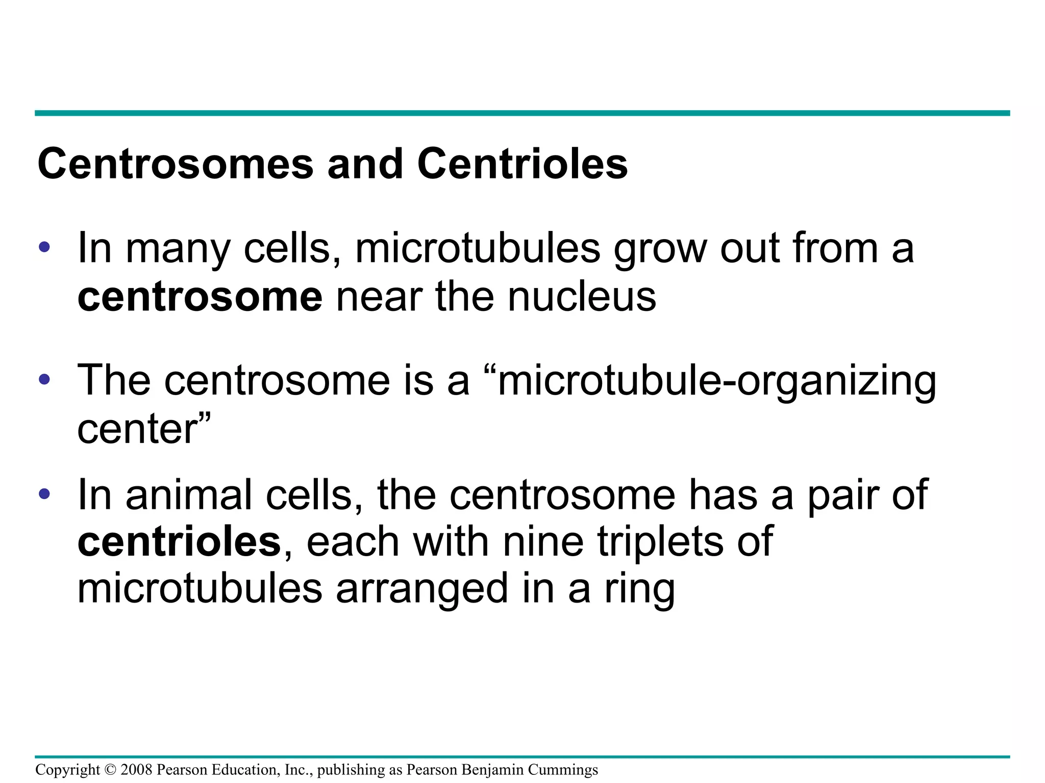 Centrosomes and Centrioles In many cells, microtubules grow out from a  centrosome  near the nucleus The centrosome is a “microtubule-organizing center” In animal cells, the centrosome has a pair of  centrioles , each with nine triplets of microtubules arranged in a ring Copyright © 2008 Pearson Education, Inc., publishing as Pearson Benjamin Cummings 