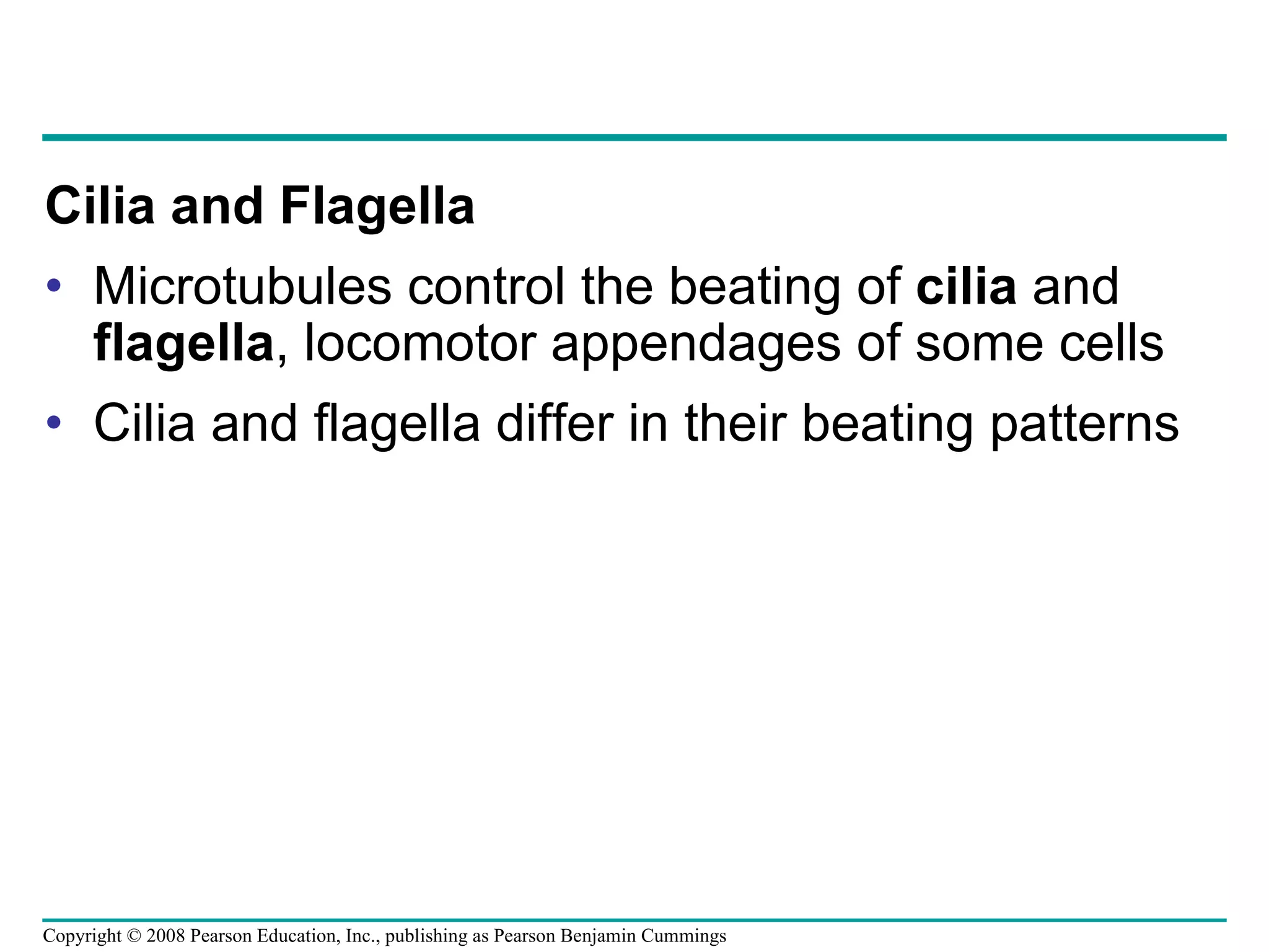 Cilia and Flagella Microtubules control the beating of  cilia  and  flagella , locomotor appendages of some cells Cilia and flagella differ in their beating patterns Copyright © 2008 Pearson Education, Inc., publishing as Pearson Benjamin Cummings 