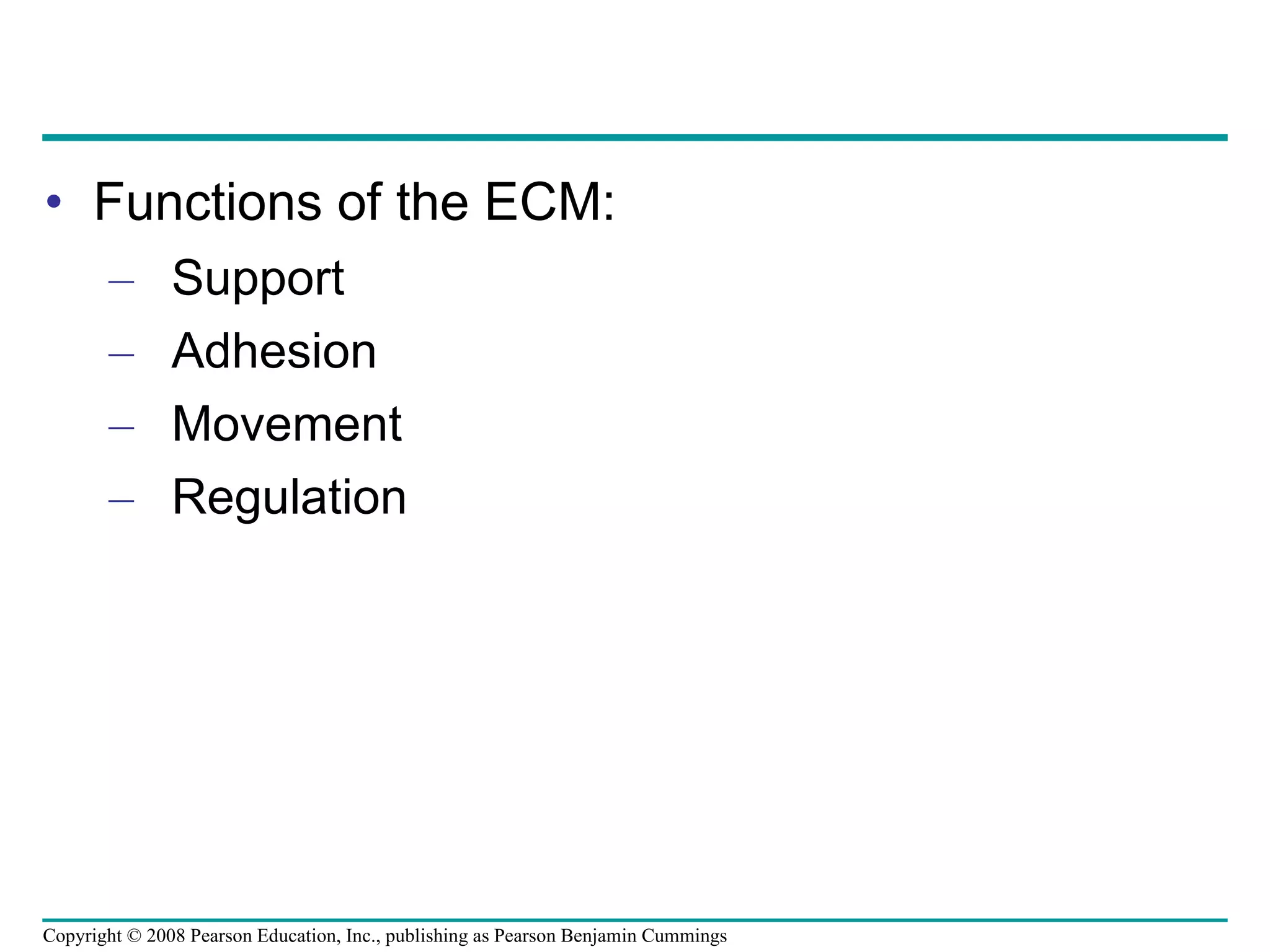 Functions of the ECM: Support Adhesion Movement Regulation Copyright © 2008 Pearson Education, Inc., publishing as Pearson Benjamin Cummings 