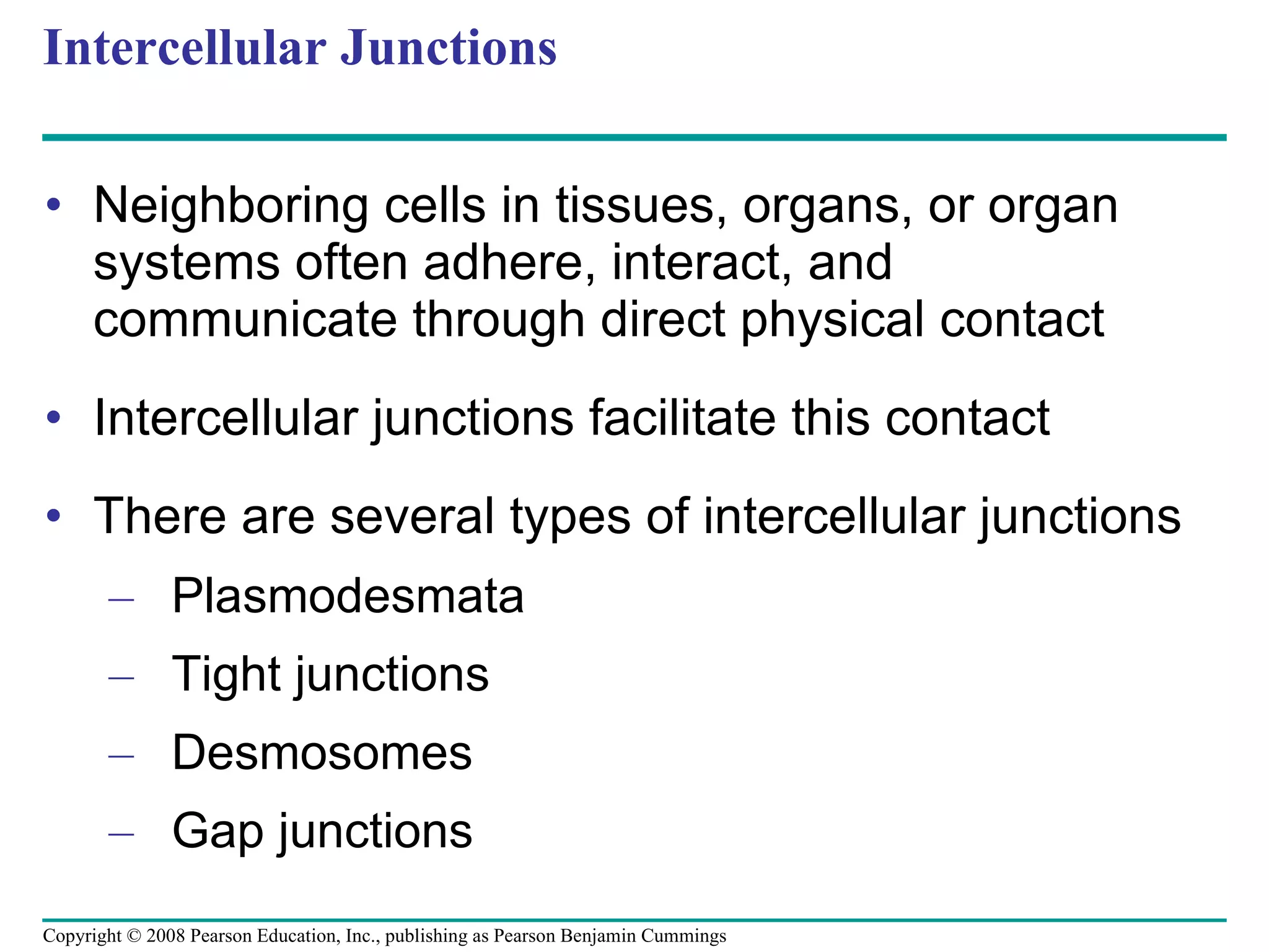 Intercellular Junctions Neighboring cells in tissues, organs, or organ systems often adhere, interact, and communicate through direct physical contact Intercellular junctions facilitate this contact There are several types of intercellular junctions Plasmodesmata Tight junctions Desmosomes Gap junctions Copyright © 2008 Pearson Education, Inc., publishing as Pearson Benjamin Cummings 