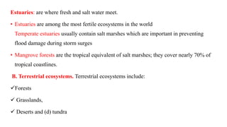 Estuaries: are where fresh and salt water meet.
• Estuaries are among the most fertile ecosystems in the world
Temperate estuaries usually contain salt marshes which are important in preventing
flood damage during storm surges
• Mangrove forests are the tropical equivalent of salt marshes; they cover nearly 70% of
tropical coastlines.
B. Terrestrial ecosystems. Terrestrial ecosystems include:
Forests
 Grasslands,
 Deserts and (d) tundra
 