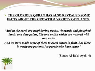  THE GLORIOUS QURAN HAS ALSO REVEALED SOME
FACTS ABOUT THE GROWTH & VARIETY OF PLANTS:
“And in the earth are neighboring tracks, vineyards and ploughed
lands, and date-palms, like and unlike which are watered with
one water.
And we have made some of them to excel others in fruit. Lo! Here
in verily are portents for people who have sense.”
(Surah: Al-Ra'd, Ayah: 4)
 