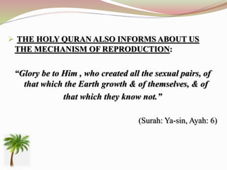  THE HOLY QURAN ALSO INFORMS ABOUT US
THE MECHANISM OF REPRODUCTION:
“Glory be to Him , who created all the sexual pairs, of
that which the Earth growth & of themselves, & of
that which they know not.”
(Surah: Ya-sin, Ayah: 6)
 