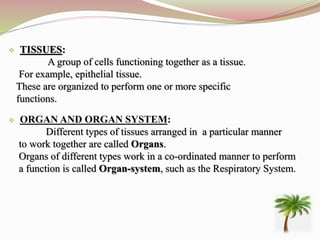  TISSUES:
A group of cells functioning together as a tissue.
For example, epithelial tissue.
These are organized to perform one or more specific
functions.
 ORGAN AND ORGAN SYSTEM:
Different types of tissues arranged in a particular manner
to work together are called Organs.
Organs of different types work in a co-ordinated manner to perform
a function is called Organ-system, such as the Respiratory System.
 