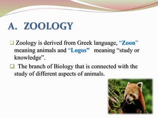 A. ZOOLOGY
 Zoology is derived from Greek language, “Zoon”
meaning animals and “Logos” meaning “study or
knowledge”.
 The branch of Biology that is connected with the
study of different aspects of animals.
 